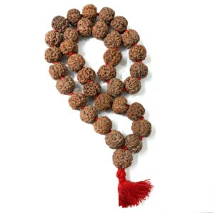 5 Mukhi Nepali Rudraksha Kantha