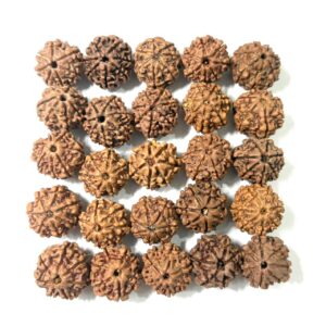 7-mukhi-nepali-rudraksha-11